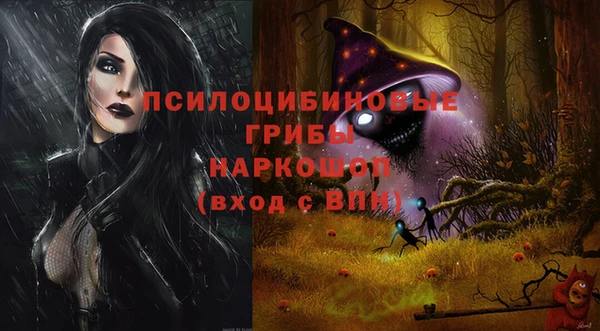 МДПВ Богородицк