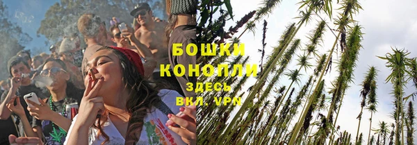 МДПВ Богородицк