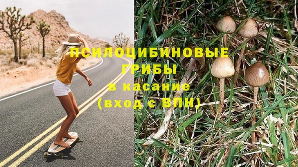 винт Снежногорск