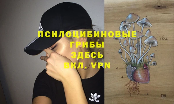 MESCALINE Богородск