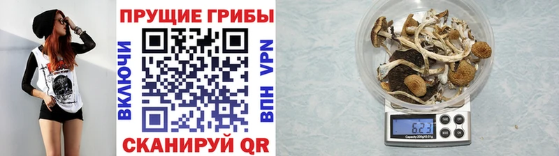 наркошоп  Козловка  Галлюциногенные грибы мухоморы 