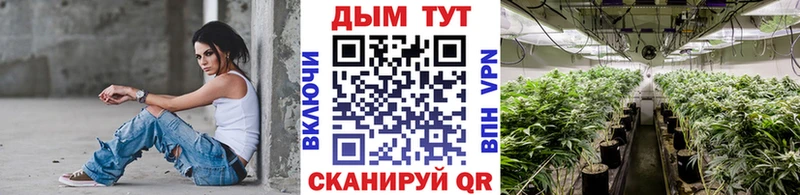 Канабис сатива  Козловка 